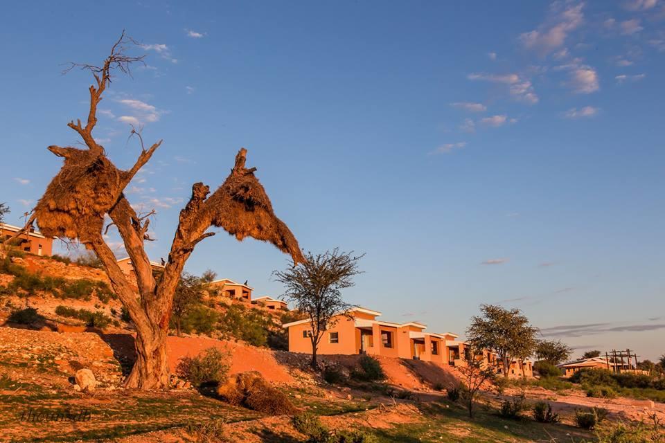 Kgalagadi Lodge Askham Exteriör bild